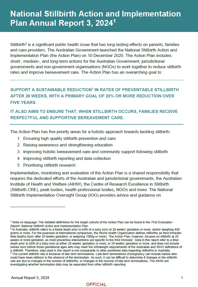 The National Stillbirth Action and Implementation Plan Annual 
