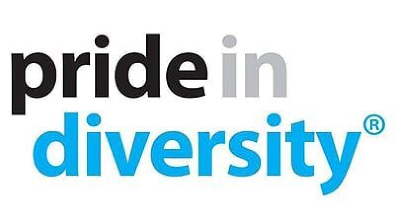 Pride in diversity logo