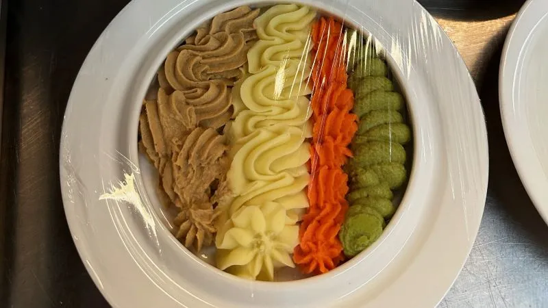 Plate of 4 different types of texture modified food.