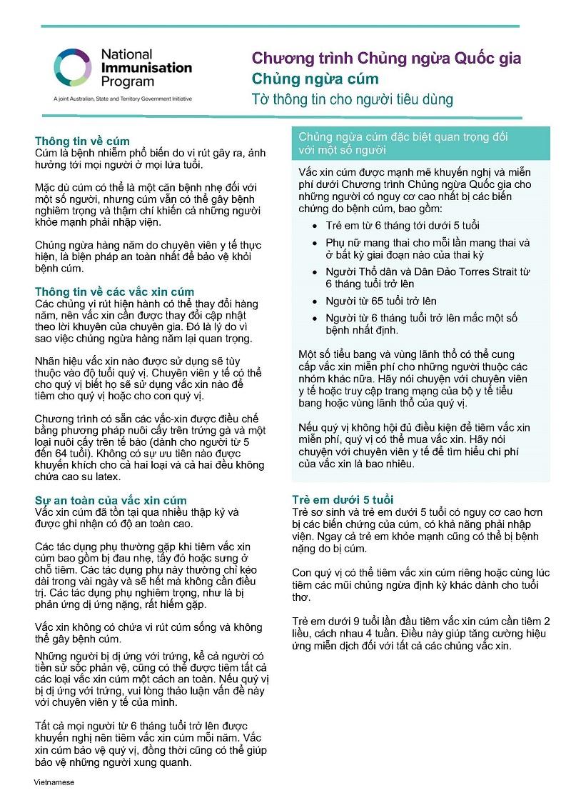 2025 influenza (flu) vaccination – Consumer fact sheet_Vietnamese
