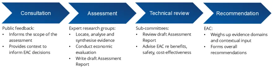 Diagram of the NDIS Evidence Advisory Committee's assessment process