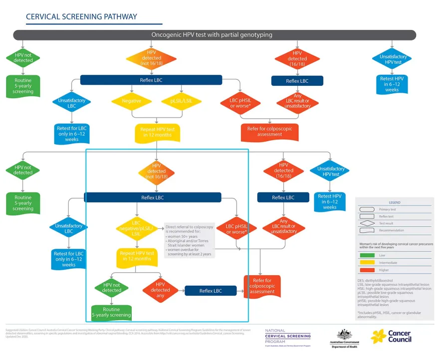 Flowchart highlighting the update to the cervical screening pathway
