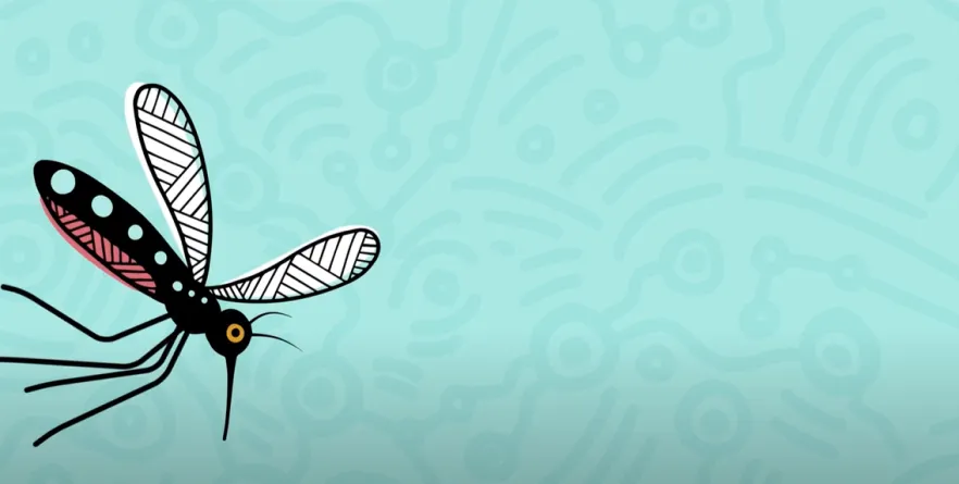 JEV for Aboriginal and Torres Strait Islander audience
