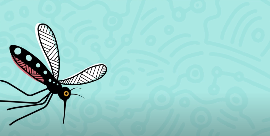 JEV for Aboriginal and Torres Strait Islander audience