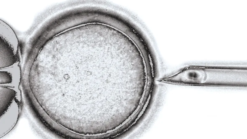Share your views on making mitochondrial donation available in Australia
