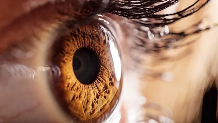 Free student eye tests