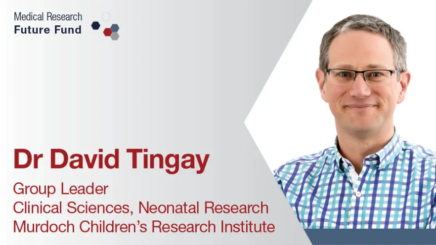 Dr David Tingay