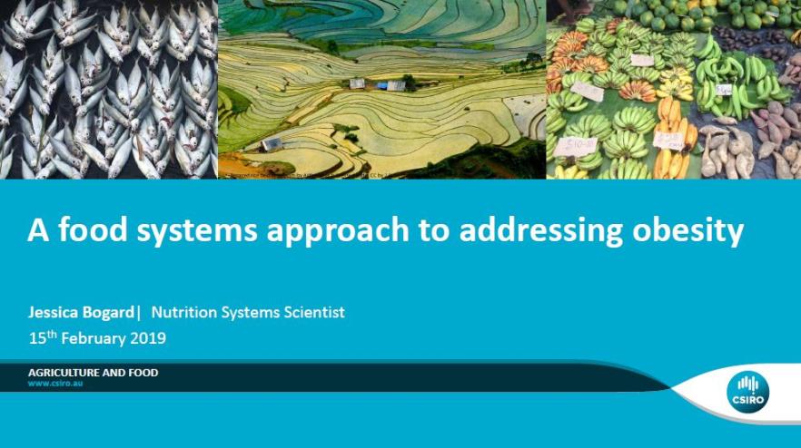 Cover image for National Obesity Summit presentation – Dr Jessica Bogard – A food systems approach to addressing obesity