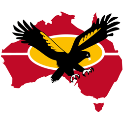 National Aboriginal Community Controlled Health Organisation logo
