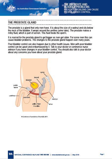 Prostate problems and poor bladder control  Australian Government  Department of Health and Aged Care