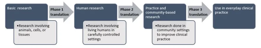The research pipeline