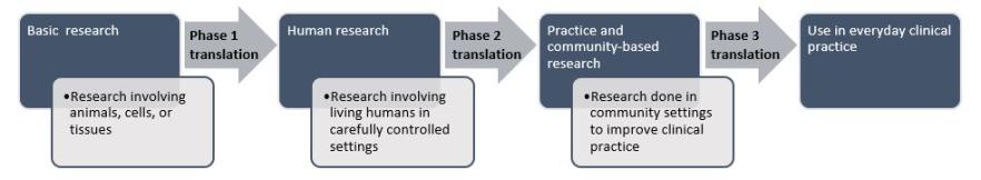 The research pipeline