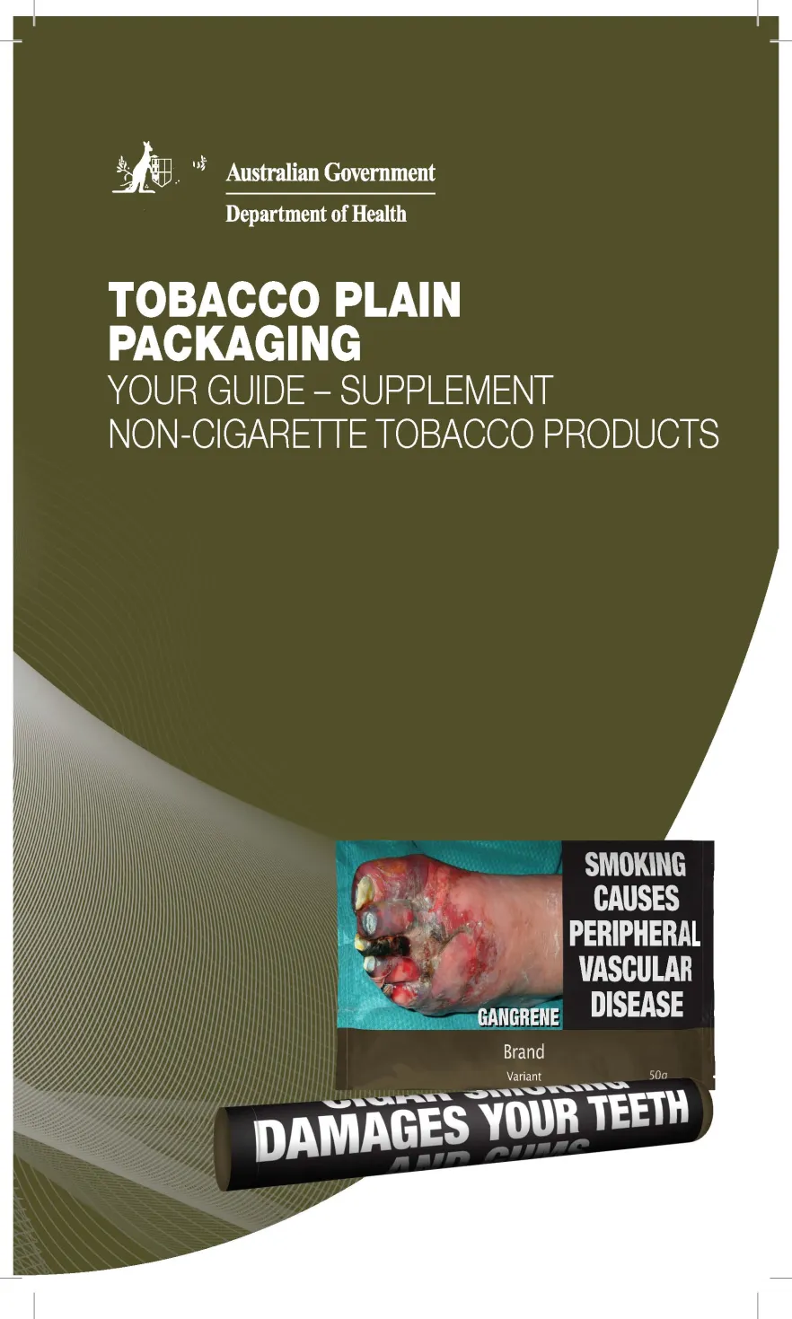 Cover image for Tobacco plain packaging – your guide supplement – non-cigarette tobacco products