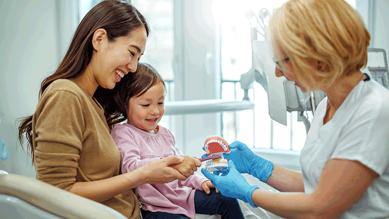 Mother and child at a dentist looking at a plastic model of teeth