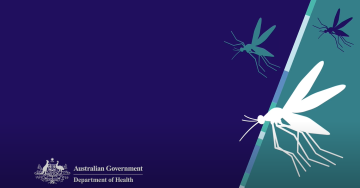Japanese encephalitis (JEV) icon