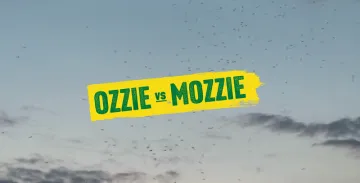 ozzie vs mozzie