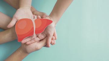 Consultation open for development of the Fourth National Hepatitis B Strategy 2023–2030 and Sixth National Hepatitis C Strategy 2023–2030