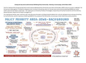 Social and Emotional Wellbeing Partnership – Meeting 1 communique