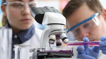 2 scientists looking closely at apparatus in a lab environment