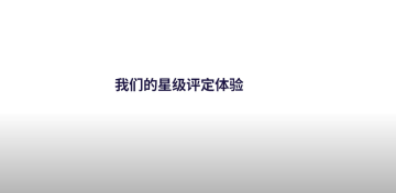 Video image title