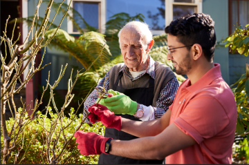 Apply for the Support at Home Thin Markets grant