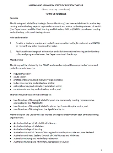 Nursing and Midwifery Strategic Reference Group (NMSRG) Terms of Reference cover page