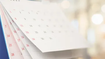 Several diary pages