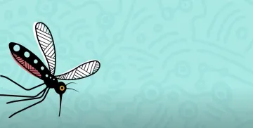 JEV for Aboriginal and Torres Strait Islander audience