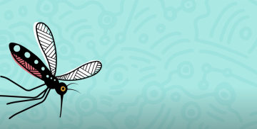 JEV for Aboriginal and Torres Strait Islander audience