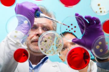 Male and female researchers at work in lab