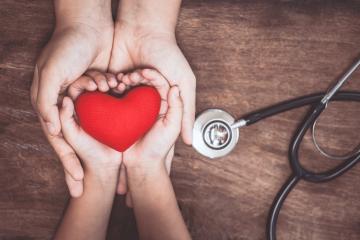 Embraced adult and child hands holding a red heart