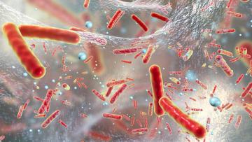 World Antimicrobial Awareness Week – 18–24 November