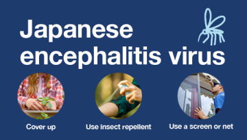 protect yourself from JEV