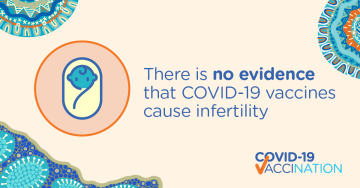 COVID-19 vaccines do not cause infertility