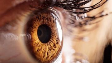 Free student eye tests
