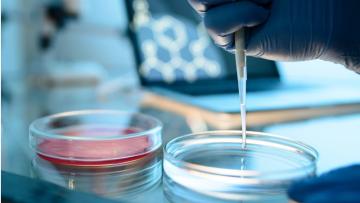 Update on the proposed changes to the Medical Research Future Fund Act 2015