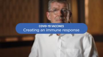 Creating an immune response screenshot