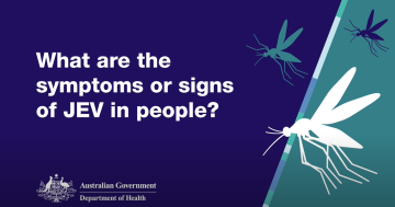 What are the symptoms or signs of JEV?