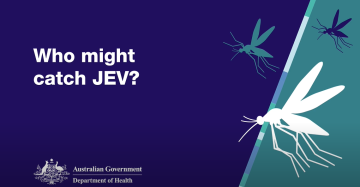 Who might catch JEV?