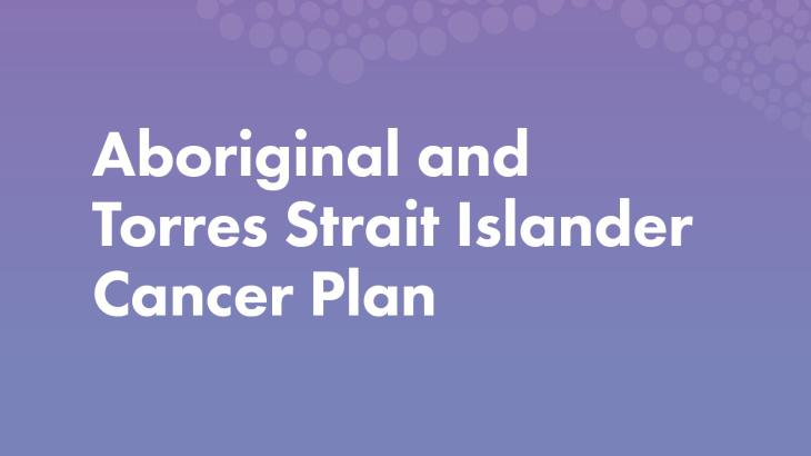 NACCHO Cancer Plan