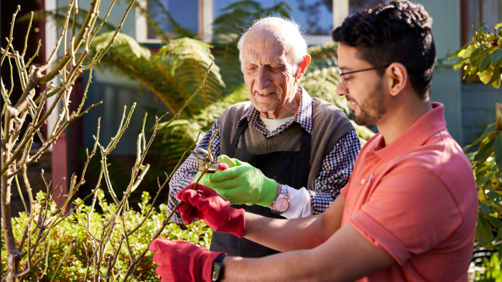 Apply for the Support at Home Thin Markets grant