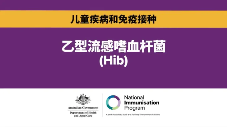 什么是Hib？为何免疫接种对儿童至关重要？. 