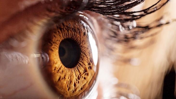 Free student eye tests