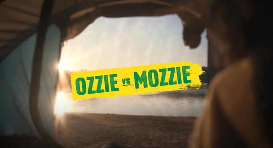 ozzie vs mozzie - screen all living areas