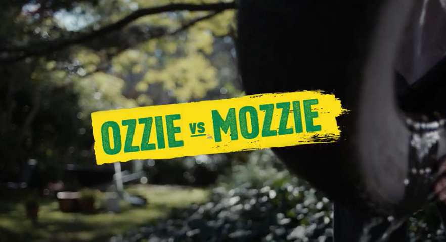 Ozzie vs Mozzie - Tip out stagnant water