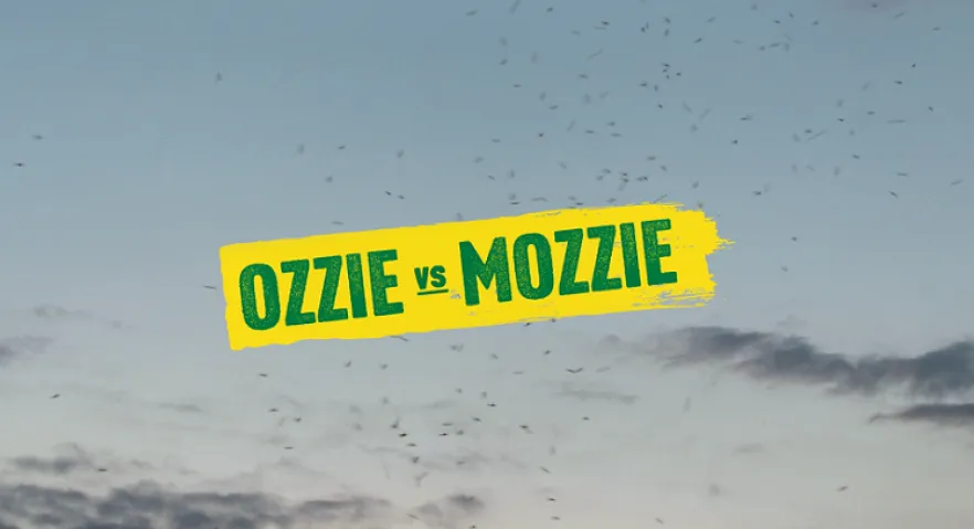 Ozzie vs Mozzie – Vietnamese - Hãy bảo vệ giúp phòng ngừa vi rút do muỗi truyền
