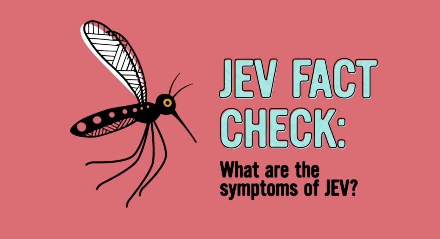 Japanese encephalitis virus (JEV) - What are the symptoms of JEV?