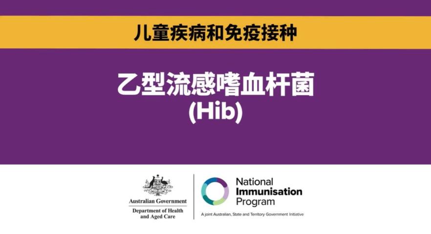 什么是Hib？为何免疫接种对儿童至关重要？. 