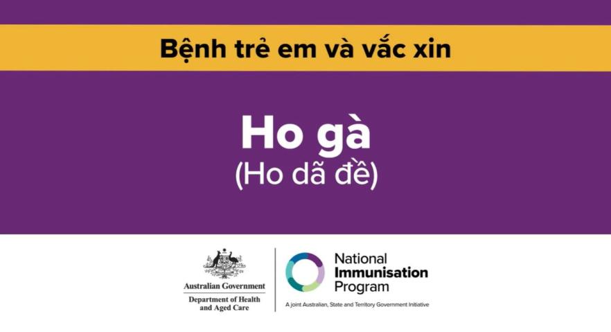 Ho gà (ho dã đề) là gì? Vì sao chủng ngừa cho tuổi thơ lại quan trọng  