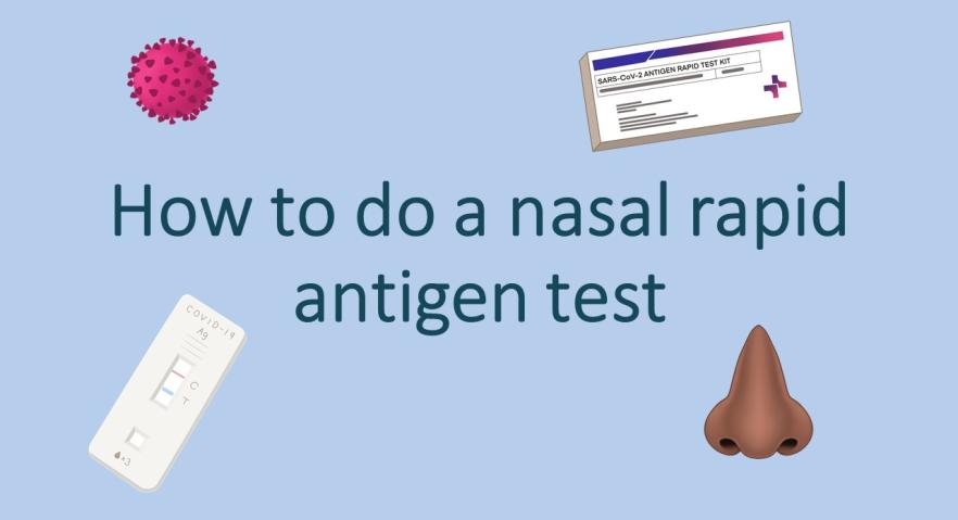 Coronavirus (COVID-19) – Video – How to do a nasal rapid antigen test